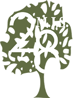 M.J.S. Landscaping Services, LLC